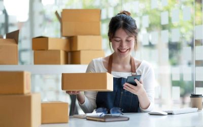 Sandra Tapia, CPA, PLLC’s Playbook to Choosing the Right Entity Type For Business Success